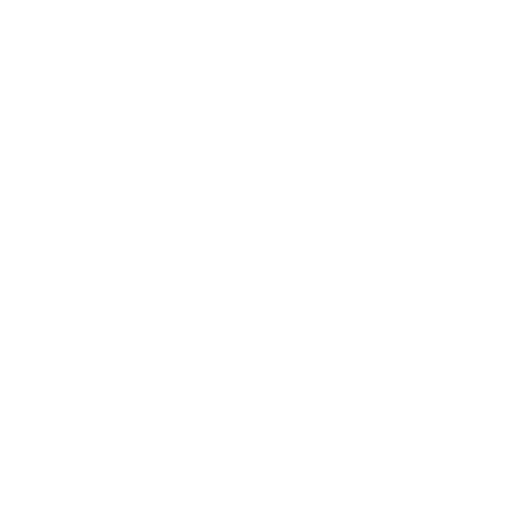 Persone Fisiche